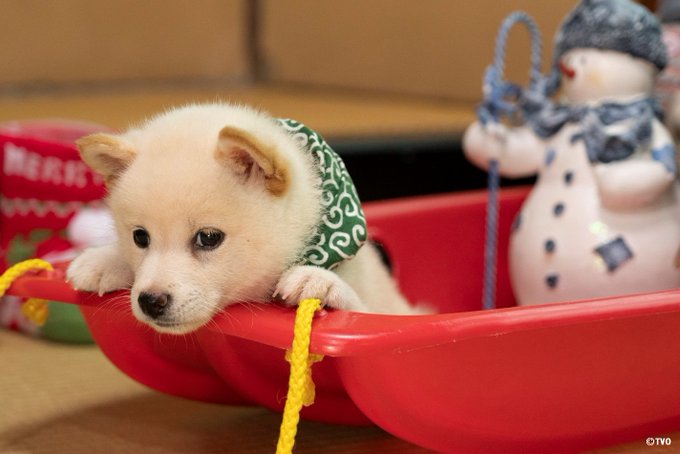 รายการทว 框 キョウ ให แท กแฮช 豆助 1 ว เคราะห ทว ตเตอร กราฟ ก Whotwi