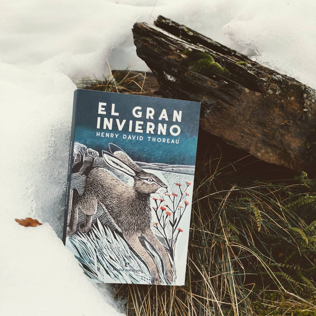 Naturallibres's tweet photo. Ens hem trobat aquest conill al passeig d’aquest matí…
29 de diciembre de 1856
Debemos salir y volver a aliarnos con la #naturaleza todos los días. Debemos echar raíces, al menos una pequeña fibra, incluso todos los días del #invierno. #HenryDavidThoreau #ElGranInvierno https://t.co/vqrDhaGqzo
