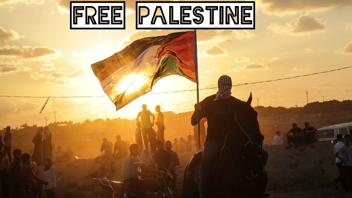 AnonymousPales2's tweet photo. @anonbarbby_ Freedom for the Palestinian people 🇵🇸 GREETINGS WORLD ✋ 
#FreePalestine 🇵🇸 https://t.co/bXf1iiJm2Q