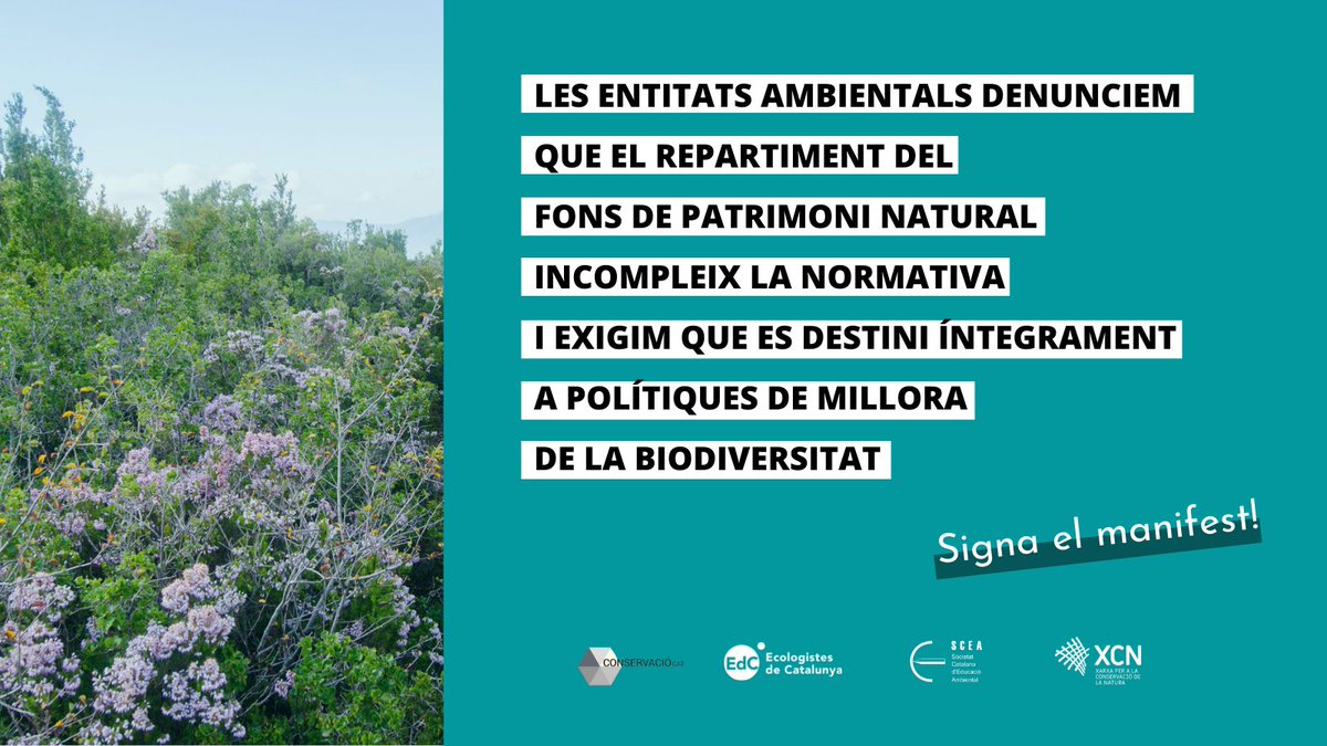 scea_cat's tweet photo. 📢 Des de la SCEA ens sumem a les preocupacions i demandes sobre el repartiment del #FonsdePatrimoniNatural.
Llegeix i signa el manifest si hi estàs d'acord 👇
🗣Comunicat: https://t.co/ey19rMXYra
📝Adhesions: https://t.co/3mJeYyOwzI
#conservacio #educacioambiental #sectorEA https://t.co/BWMbxhYLyA