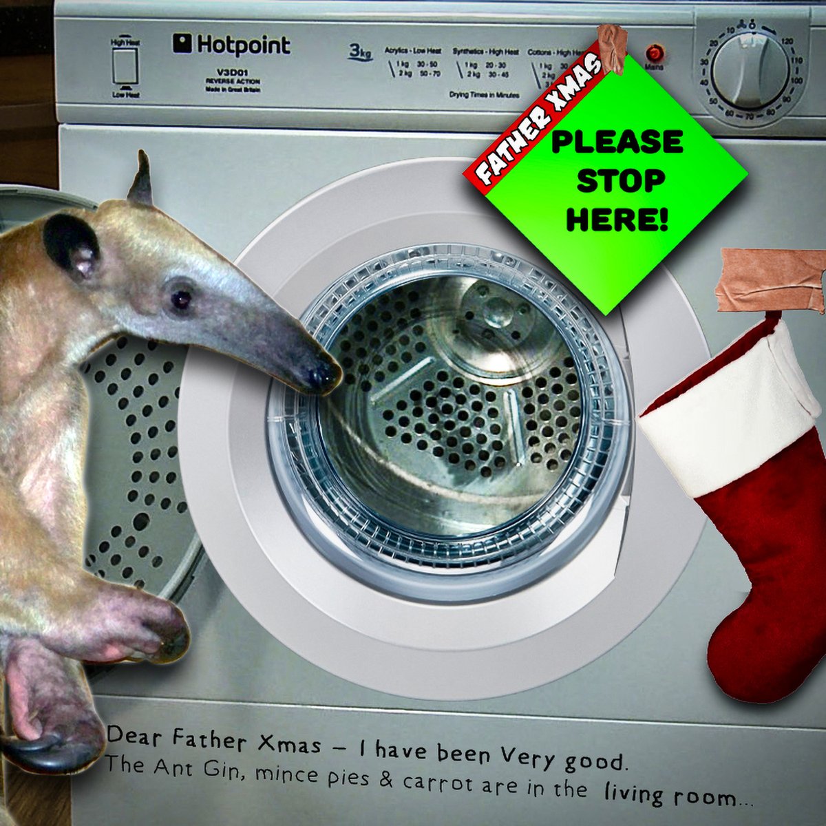 GraemeDawes's tweet photo. Xmas Eve – only one more sleep to go! 
https://t.co/WZm2gZbj0q 

#animalsoffacebook #anteatersofinstagram #internetanimals #cuteanimals #onlineanteaters #anteater #animalsofinstagram #IGanimals  #XmasEve  #presents  #ChristmasEve #FatherXmas #FatherChristmas #Santa #HappyXmas https://t.co/FVvNLHBv1N