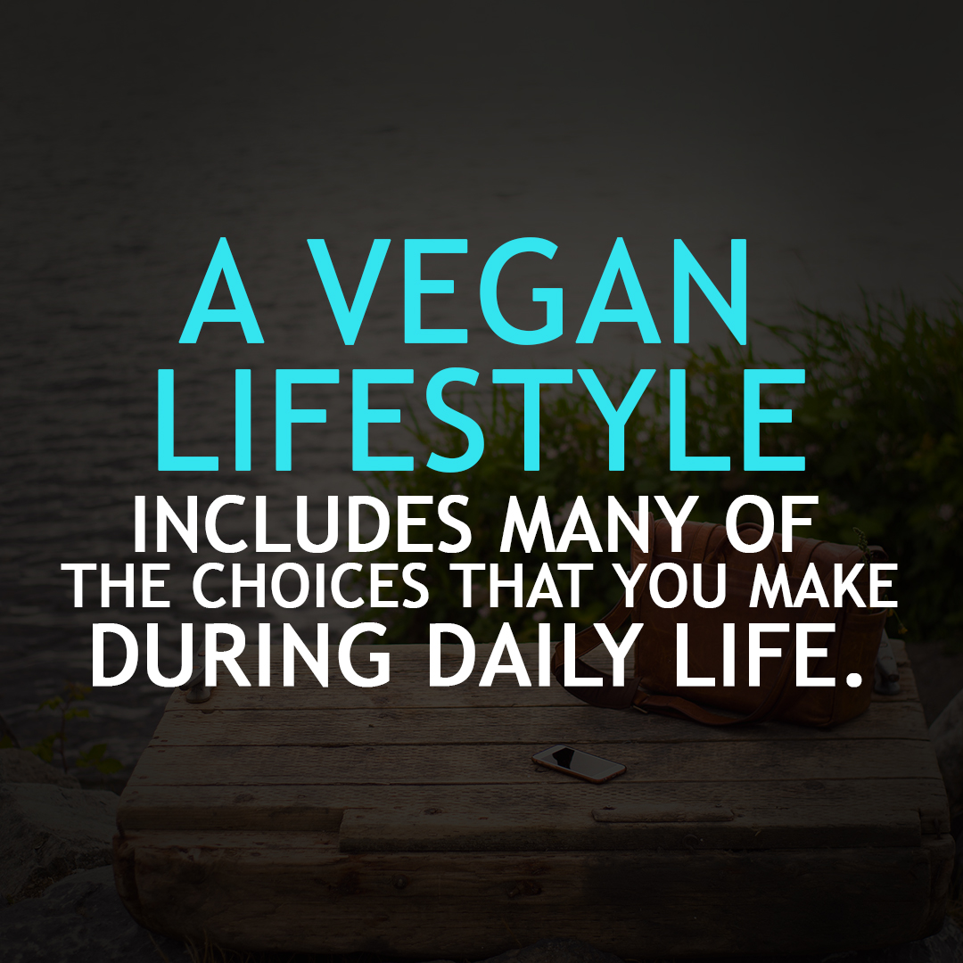 feedingherwell's tweet photo. #vegan #veganfood #plantbased #VeganChristmas #LastMinuteGifts #vegancookbook 
https://t.co/qG1zdHjOuV https://t.co/FI8dyWqXRN