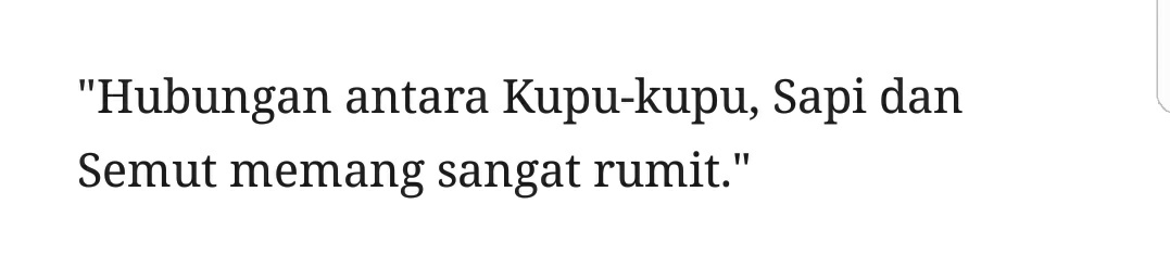 jamshiiee4's tweet photo. Duhh kisah yang amat rumit, terombang-ambing sumpah baca ini #MARIPOSA2DAY https://t.co/rBUTDikHAh