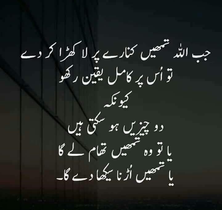 Syed Usman Shah (@syedusm20279309) on Twitter photo 