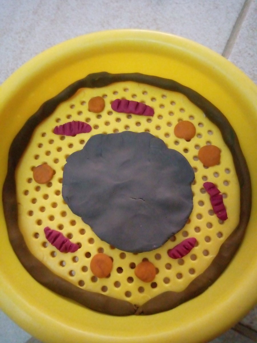amal_kourdi's tweet photo. Making an ANIMAL CELL with play do💗#ScienceVacationtasks
@lynnalsamra @MakAishaSchool https://t.co/UbttrNdQHf