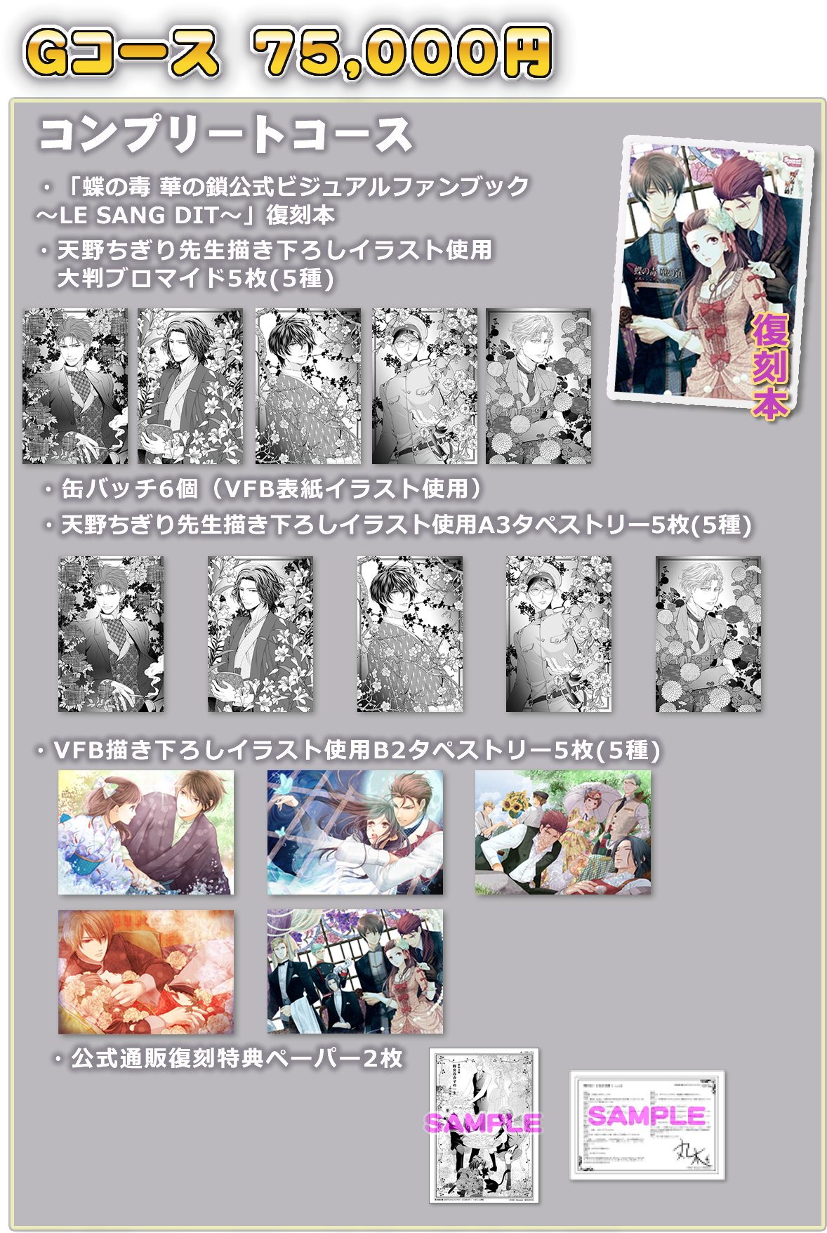 蝶の毒 華の鎖 公式ビジュアルファンブック 増補改訂版 VFB - その他