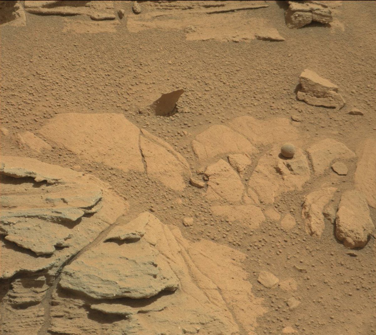 DLR_next's tweet photo. Ich weiß gar nicht, ob‘s bekannt ist - aber der Curiosity-Rover hat ja schon vor einiger Zeit eine versteinerte Christbaumkugel auf dem Mars entdeckt. https://t.co/uxYwAOfRZP