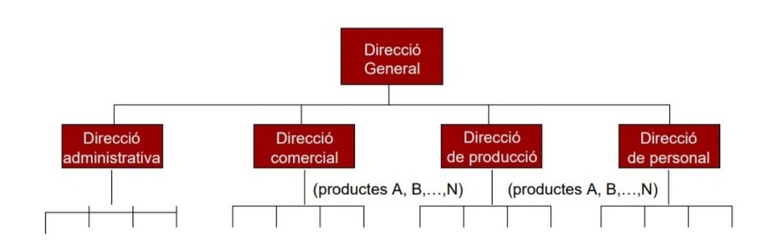 AfiCcionate's tweet photo. Un  dels avantatges principals de la departamentalització per funcions és l'especialització, en canvi un inconvenient és la mentalitat sectorial d'aquest tipus.
#CompOrg21 https://t.co/8QtTSUI5Xj