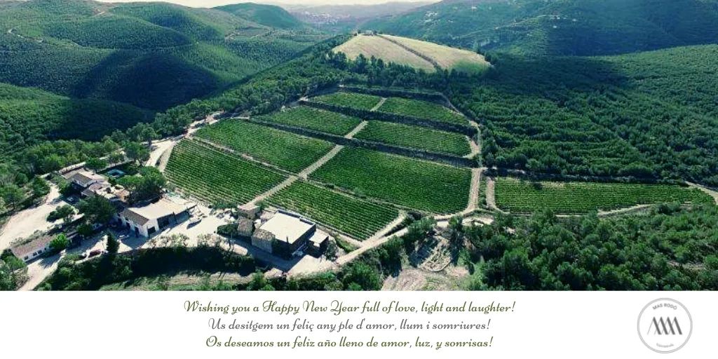 Bones Festes! #BonNadal #Christmas