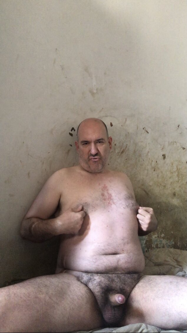 pigpervbcn's tweet photo. Expose the pig https://t.co/Z9dIkSFMtk