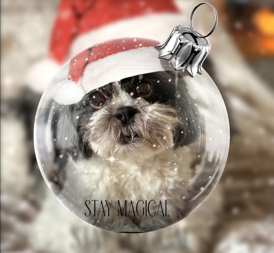 Happy Christmas Everyone 🎄💖⭐️