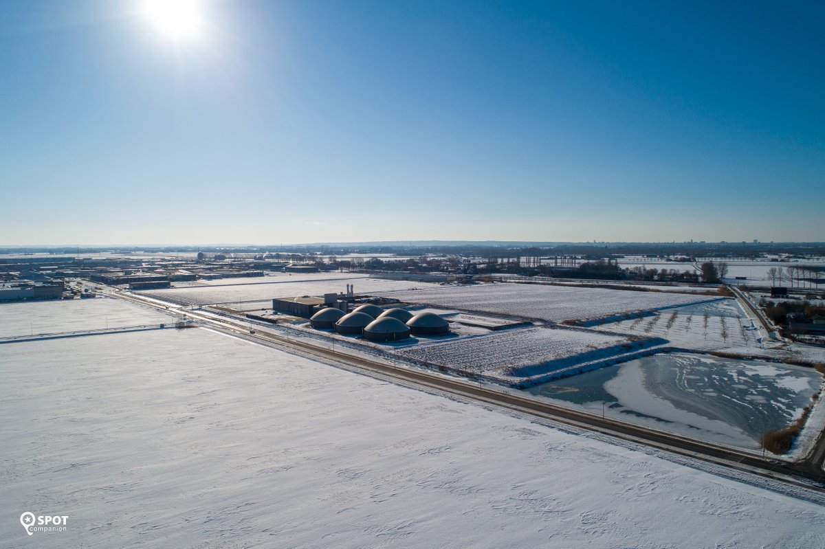 SpotCompanion tweet media