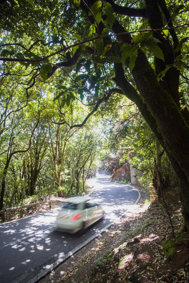 jorge_sva's tweet photo. Parque rural de Anaga, Tenerife https://t.co/AQdY7yU7KL