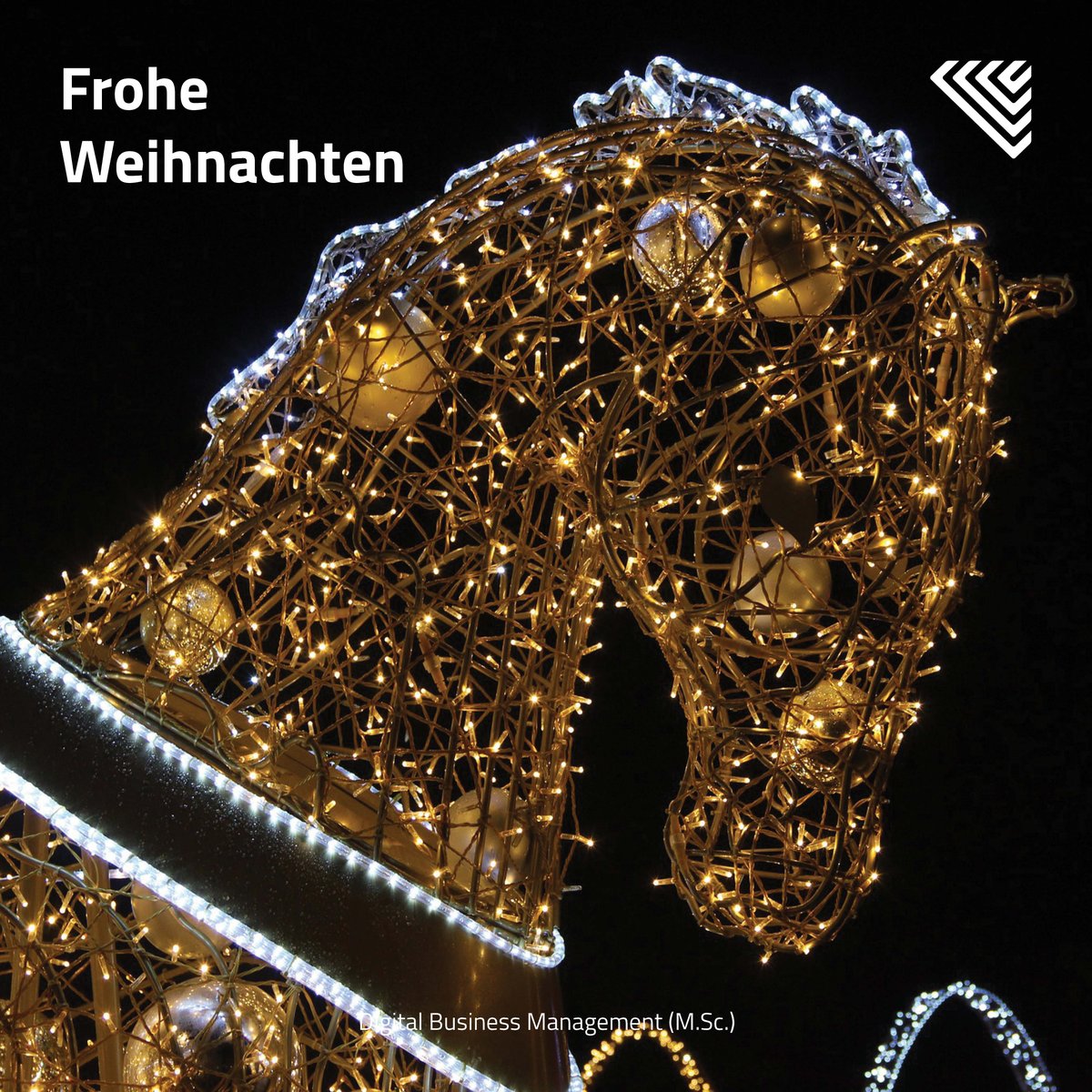 Master Digital Business Management tweet media