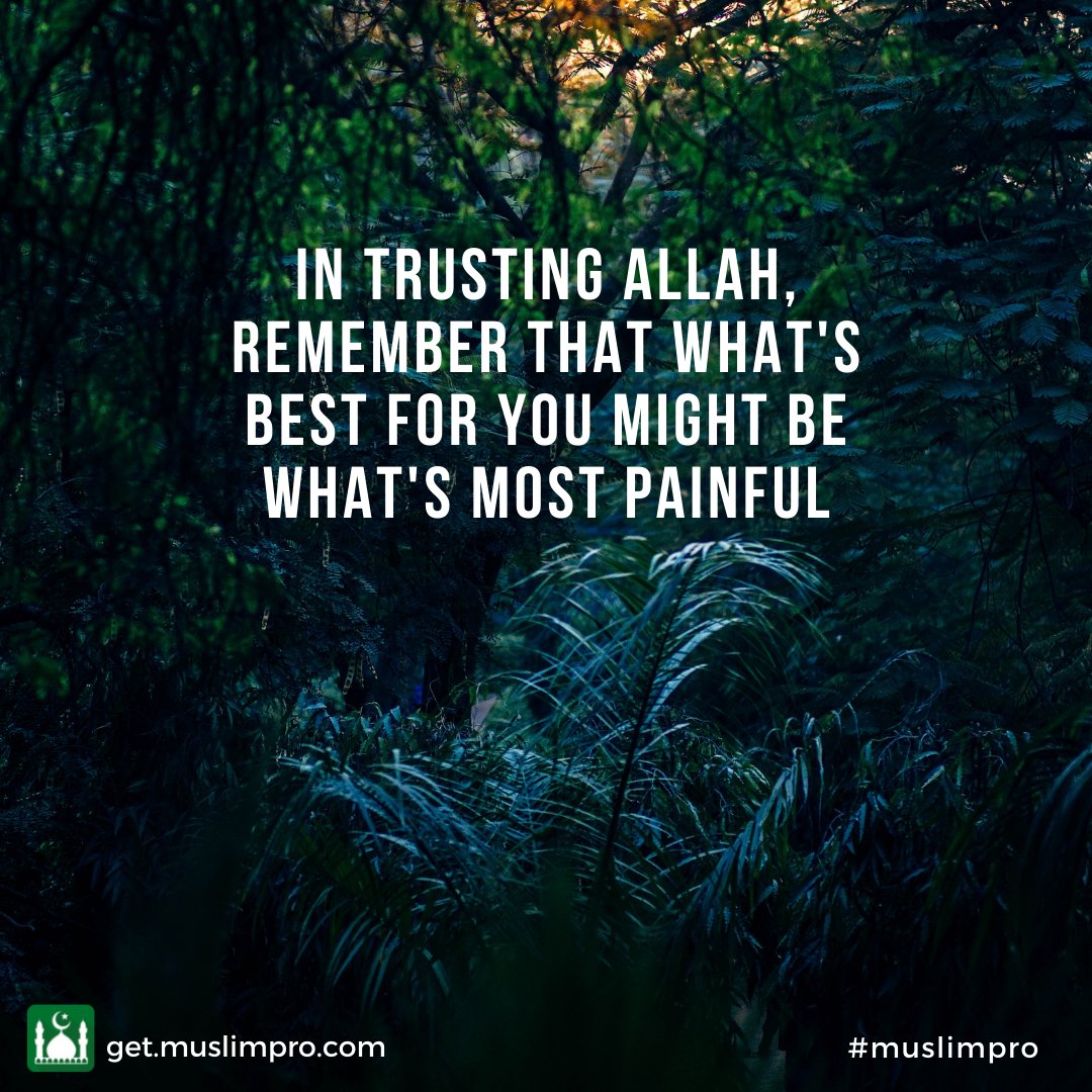 MuslimPro's tweet photo. 𝗗𝗮𝗶𝗹𝘆 𝗜𝗻𝘀𝗽𝗶𝗿𝗮𝘁𝗶𝗼𝗻

Do you realise how powerful trust in Allah is? Nothing can overpower you when you have unshakeable trust in Him.

#MuslimPro #MuslimProCommunity https://t.co/4F6XWpBuUq
