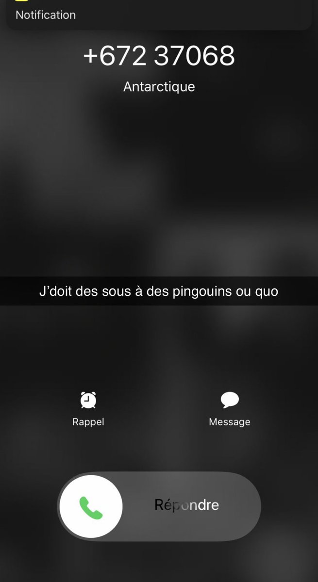 IDIOTS DU VILLAGE (@_idvl) on Twitter photo 