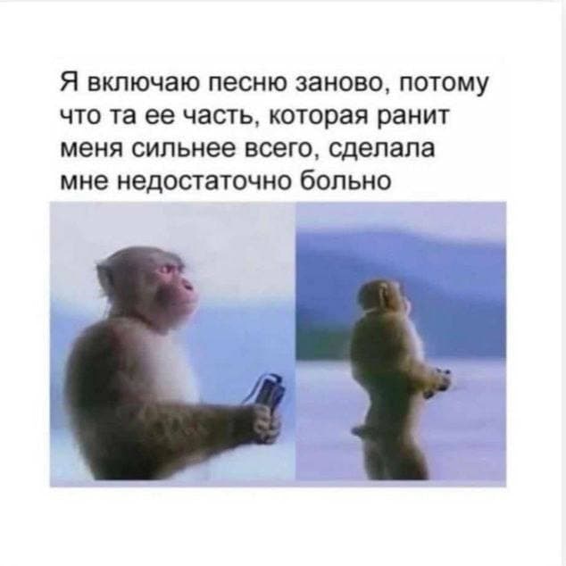 RussianMemesLtd's tweet photo. me restarting the song because the part that hurts me the most didn't hurt me enough https://t.co/oFLFBu9RfE