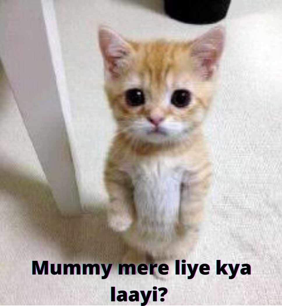 shivani_yaar's tweet photo. 5 yr old me                    22 yr old me https://t.co/JUSuopgRNm