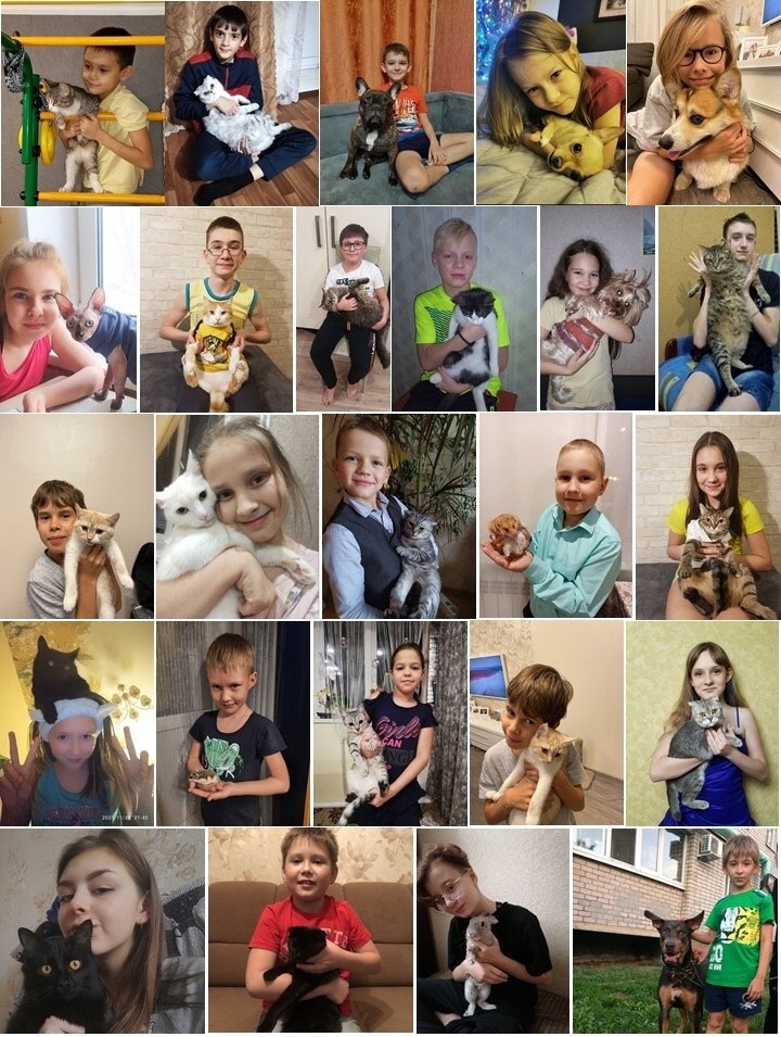 В рамках Федерального проекта «Социальная активность» и реализации плана работы волонтерского отряда «Палитра добра» ЦДТ «Спектр» – активисты приняли участие в акции «Хорошо, когда дома животное!», посвященной Всемирному дню защиты домашних животных.🐶🐱