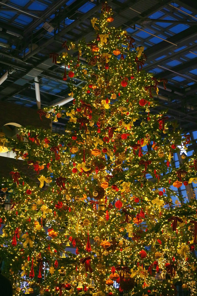 moriwwver's tweet photo. メリークリスマス
✨🎄✨
良き夜をお過ごしください💕
#クリスマス
#写真好きな人と繋がりたい https://t.co/GnzWQwzb0E