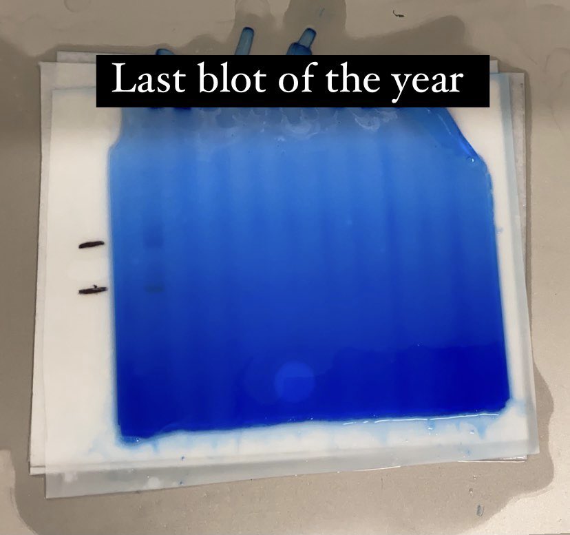 Rinky Parakra, PhD tweet media