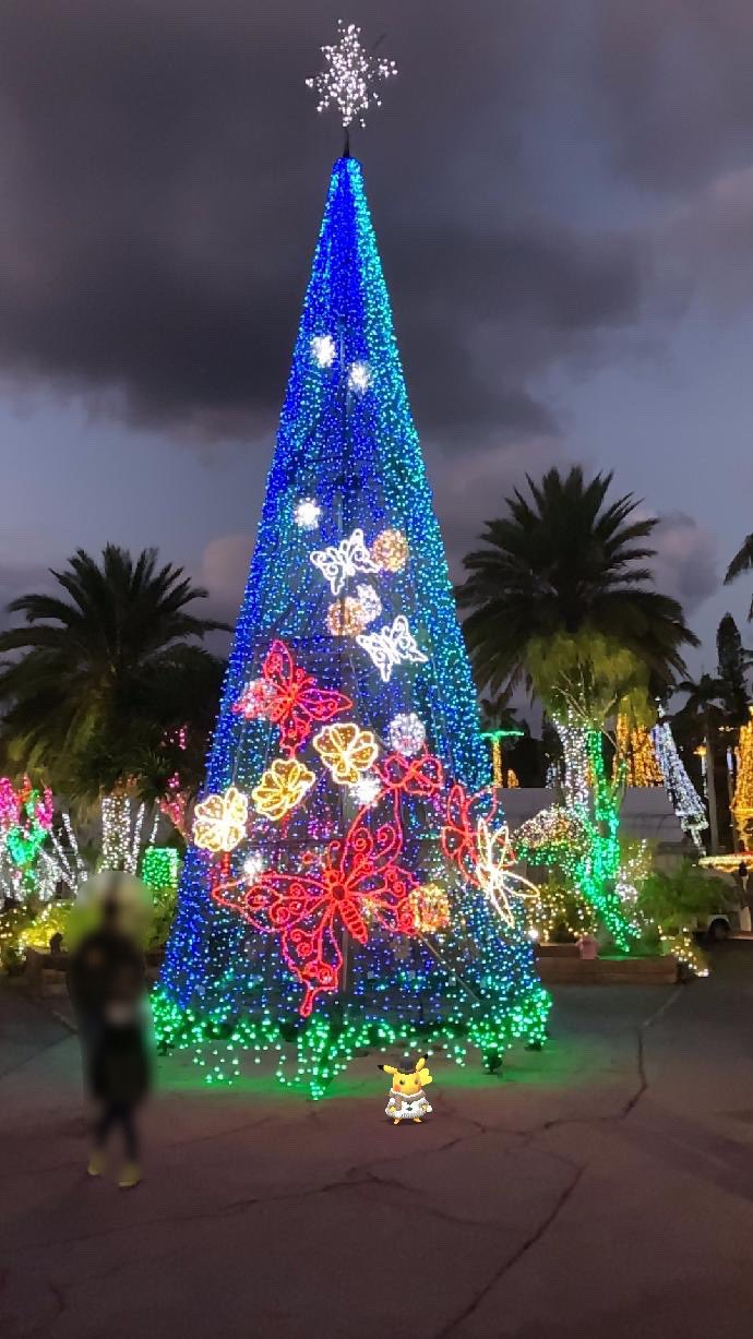 カツキくん 5 7 8沖縄北谷 ポケモンモチーフのイルミネーション そらとぶピカチュウプロジェクト 東南植物楽園 ポケモンgo Pokemongoholiday Gosnapshot クリスマスar大会 T Co N1b7qu7qj1 Twitter
