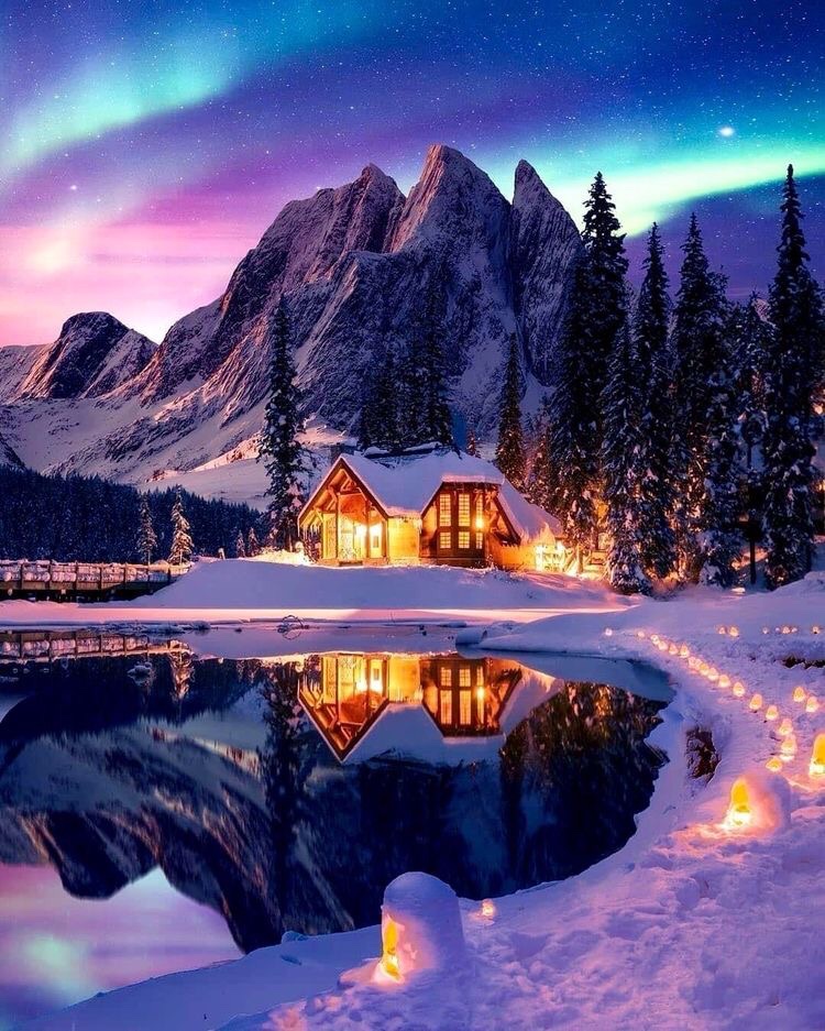 #MerryChristmas #HappyHolidays #NaturePhotography