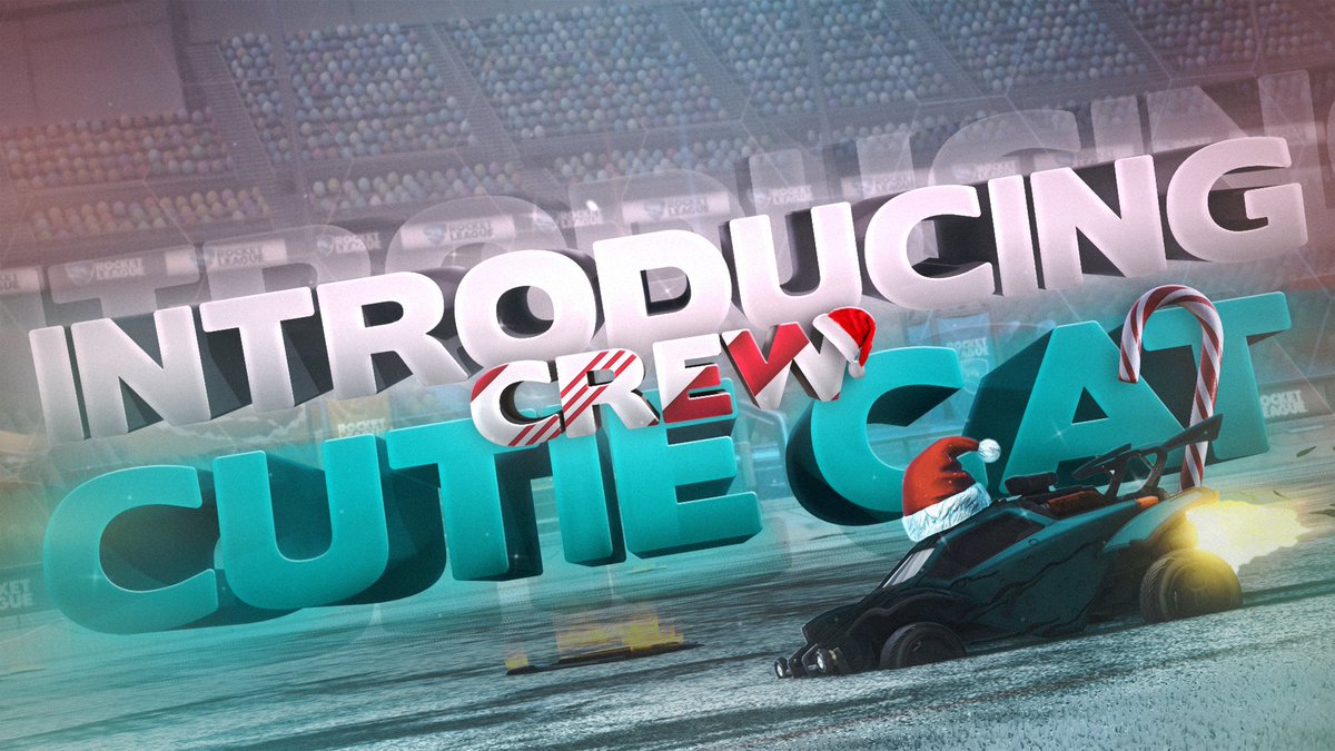 Cutie Cat Crew tweet media