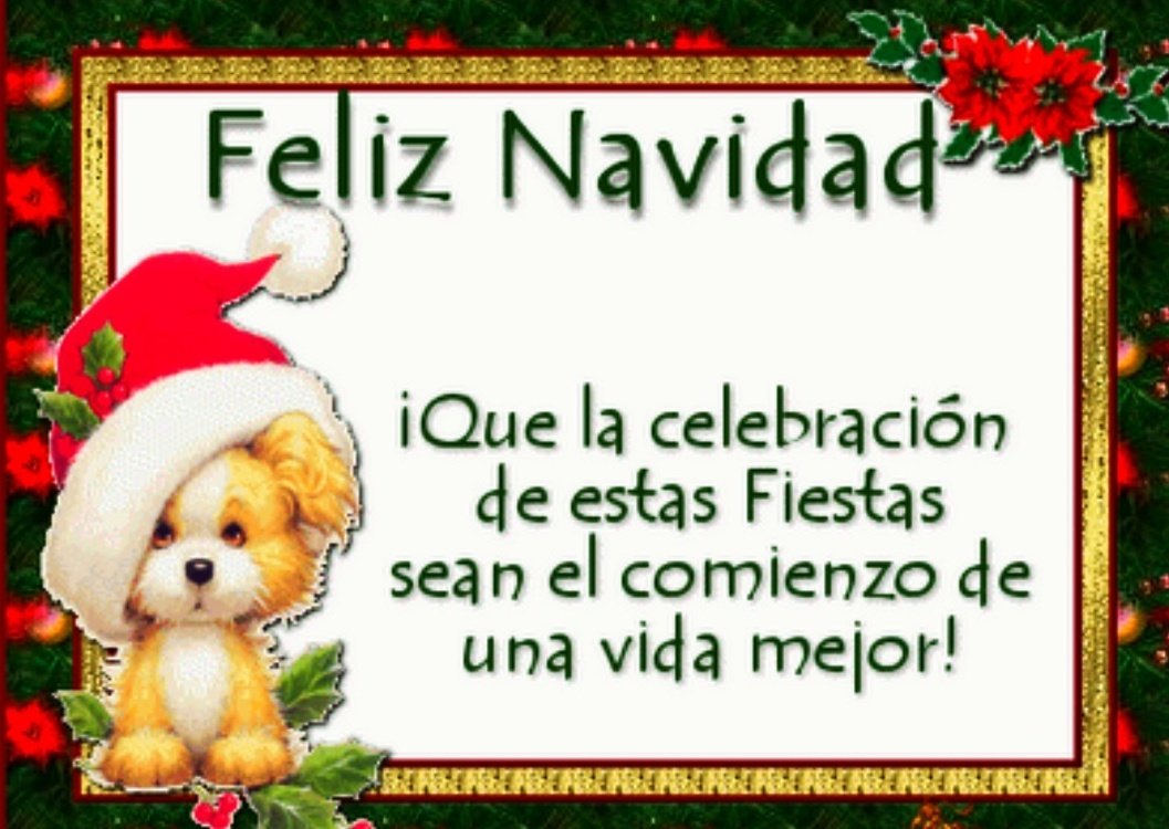 Cindy (@cindycb231) on Twitter photo 