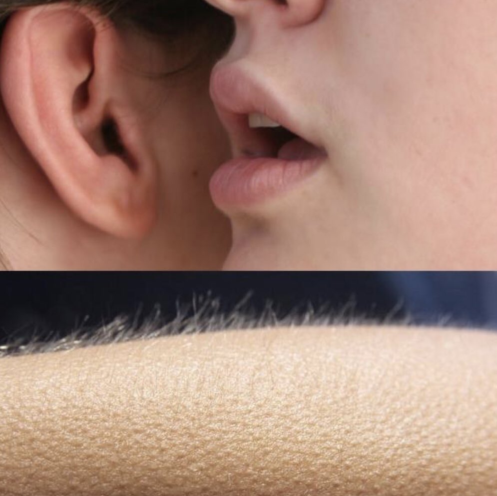 100 days to go until Flanders!