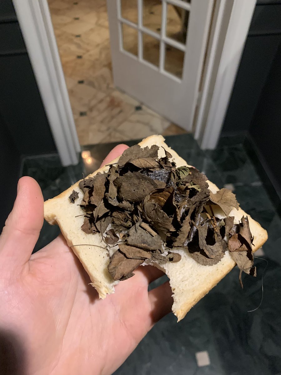 Skil ekki þetta hæp fyrir laufabrauði… þetta er ógeðslegt 🤢