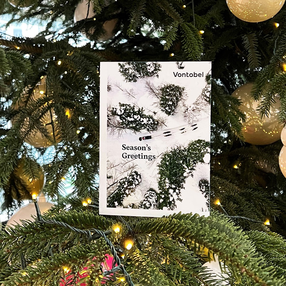 Vontobel's tweet photo. #Vontobel wishes all of you &amp; your families a wonderfully bright #HolidaySeason and a good start to a happy, successful, and – above all – healthy 2022! ✨✨✨ 

#DeterminedToDeliver #HappyHolidays https://t.co/dIQGH0AKpL