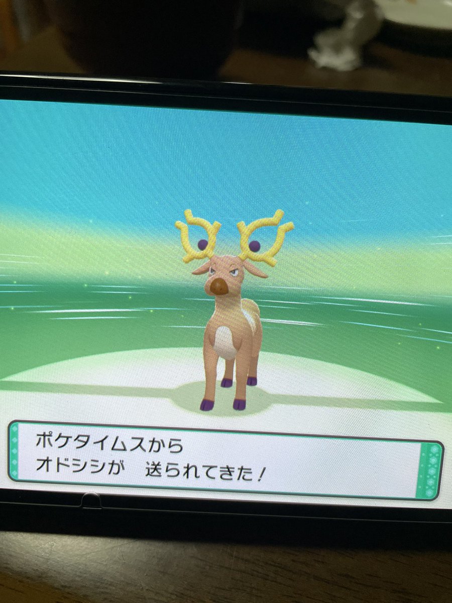 1219Hz's tweet photo. @poke_times ありがとうございました😊 https://t.co/cZlIaJJm5O