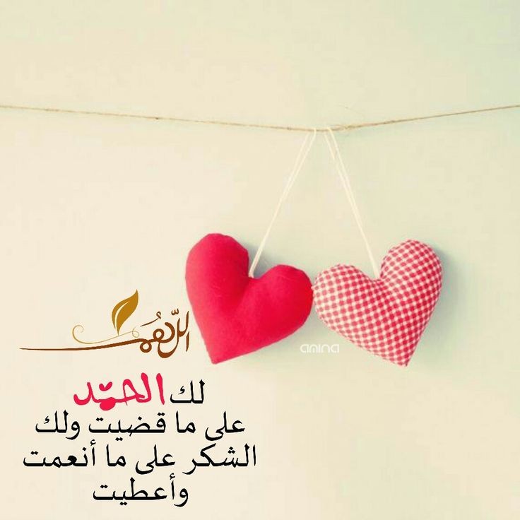 alameriss's tweet photo. ❤Oh Lord❤
❤Praises and Thanks Be To What You Have Decreed❤
❤And Gratitude For All You Have Blessed And Given❤

#Allah #Islam #Prayer #Hope #NeverGiveUp #DoNotDespair

#الله #اسلام #دعاء #امل #لاتياس #لاتستسلم https://t.co/tPwWilN7m1