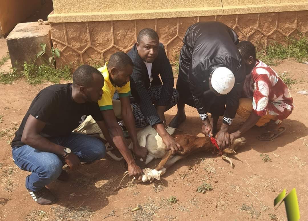 KONEMAMADOUF's tweet photo. Ce 23 déc 2021 , nous avons à travers la lecture coranique et un sacrifice demandé à DIEU le tout puissant la libération de nos prisonniers politiques et le retour de nos exilés à leur tête le Président @SOROKGUILLAUME . Qu’Allah accepte nos prières.#R_GPS DALOA @KONEMAMADOUF https://t.co/YMhCwz9Gju