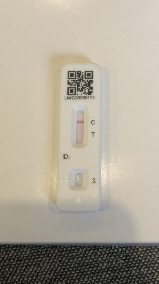 Kerr10's tweet photo. Regret to announce that I have just tested negative for covid and I will, in fact, have to go home for Christmas. Thoughts and prayers x https://t.co/uxNN3lR2ij