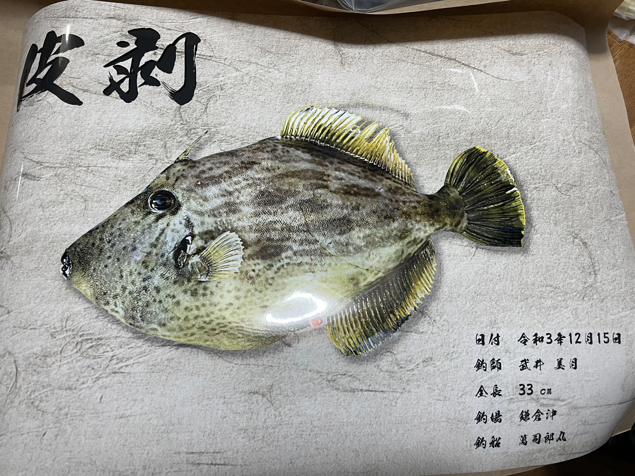 デジタル魚拓dgs Twitter Search Twitter
