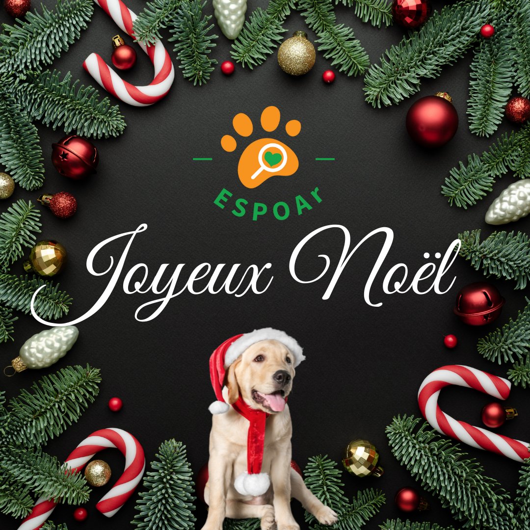 Espoar1's tweet photo. Une année va s'achever. Le Collectif @Espoar1 a été particulièrement actif pour sauver les associations de la 1ère version de l'article 3bis de la #PPLAnimaux. Merci à tous d'avoir été à nos côtés et très Joyeux Noël à tous entourés de ceux que vous aimez ! https://t.co/GddyCDO2Kg