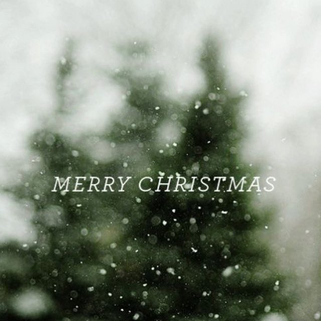 Merry Christmas to you all. 
Thank you for the support this year it means the world to us. 

Much love,Team Boca xxx