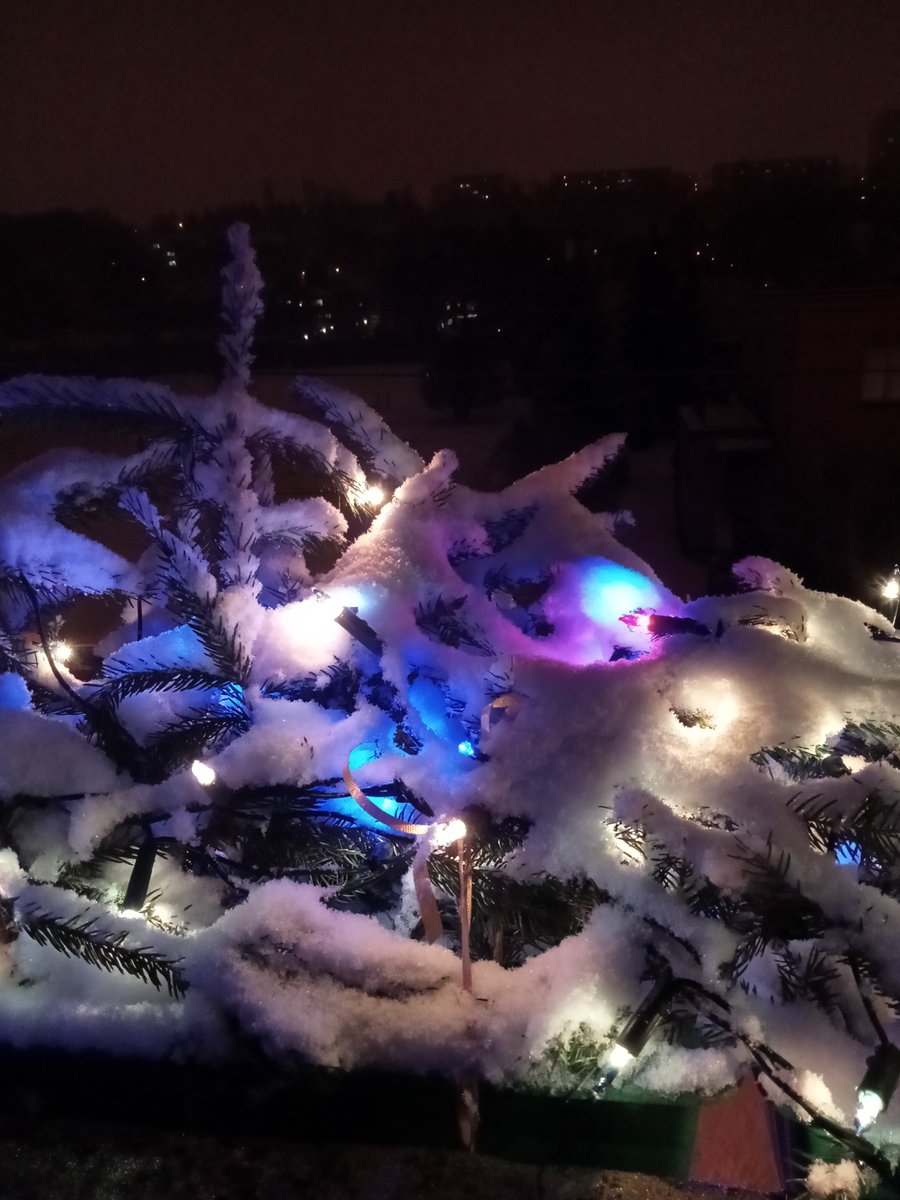 madlain_q's tweet photo. We had a White day-before-Christmas 😅
Now the snow is melting, and tomorrow's forecast shows -6°C ❄️🧊 So all the watery snow is going to freeze 🥶
Anyway, let's all hope for a lovely #Christmas 🥰🎄🎅
#MerryChristmas2021 #メリークリスマス https://t.co/0vAsUbDJyE