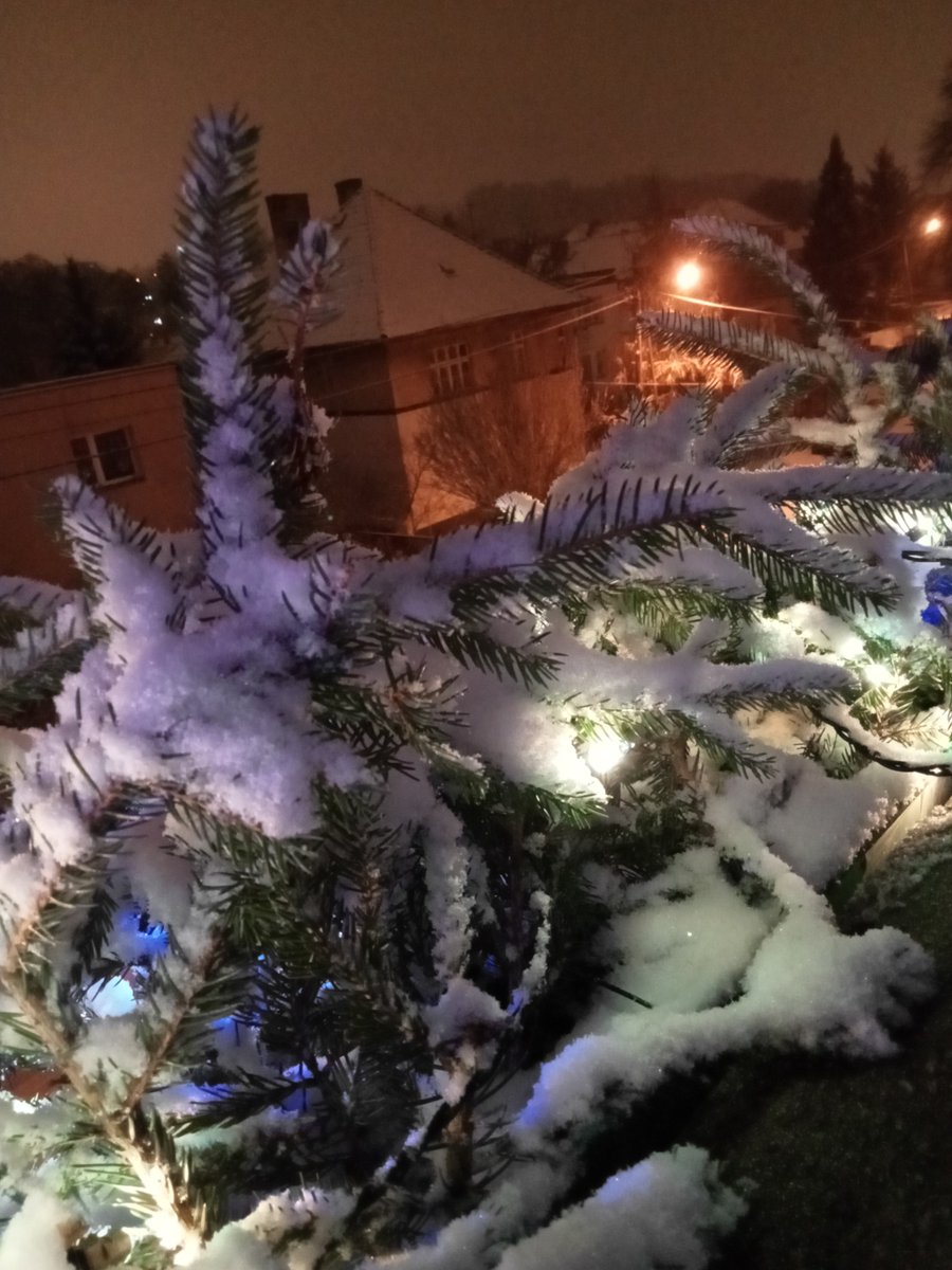madlain_q's tweet photo. We had a White day-before-Christmas 😅
Now the snow is melting, and tomorrow's forecast shows -6°C ❄️🧊 So all the watery snow is going to freeze 🥶
Anyway, let's all hope for a lovely #Christmas 🥰🎄🎅
#MerryChristmas2021 #メリークリスマス https://t.co/0vAsUbDJyE