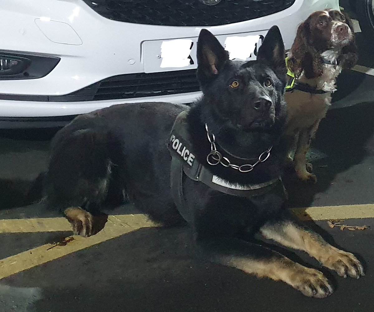 Kings Norton Police tweet media