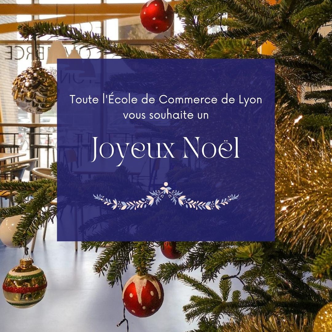 🎀 Nous vous souhaitons à tous de passer de belles fêtes de fin d'année ! 🎀 

#lyon #joyeuxnoel