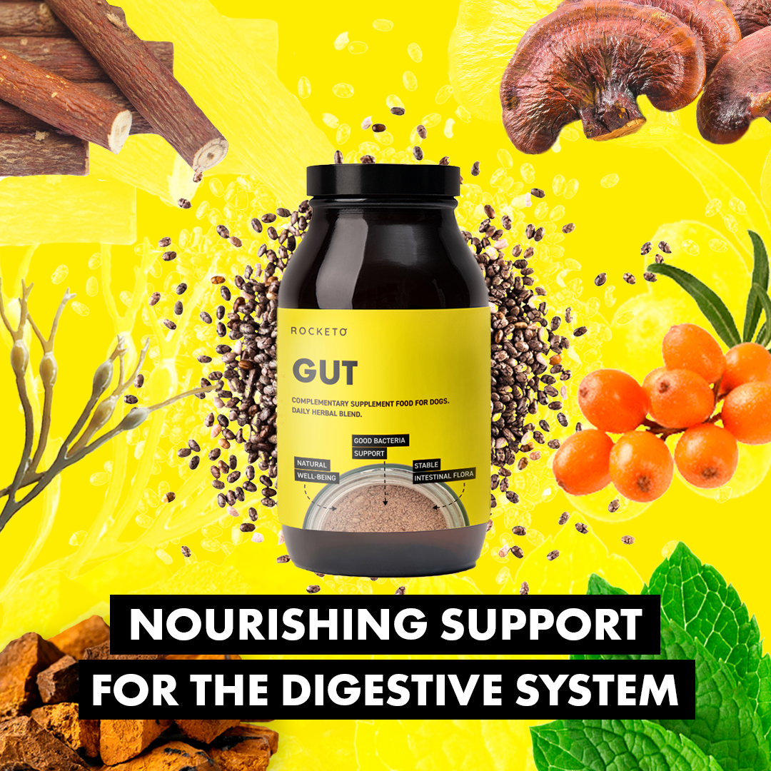 The perfect antidote for the season of indulgence (yep, we’re all guilty of giving our dogs one too many treats too!) 🐶 

Shop now and get up to 30% off as a pre-Christmas treat →  gorocketo.com/products/ 

#rawdoguk #rawdogfood