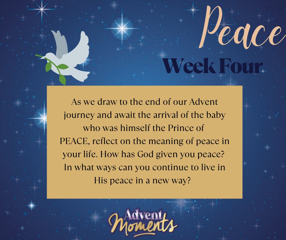 Premier Digital tweet media