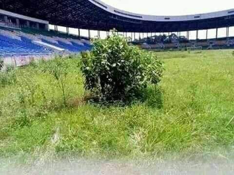 VibesFoot's tweet photo. L’état dans lequel se trouvent les stades du Gabon, 4 ans après avoir accueilli la CAN 2017… https://t.co/ToExwnNew1