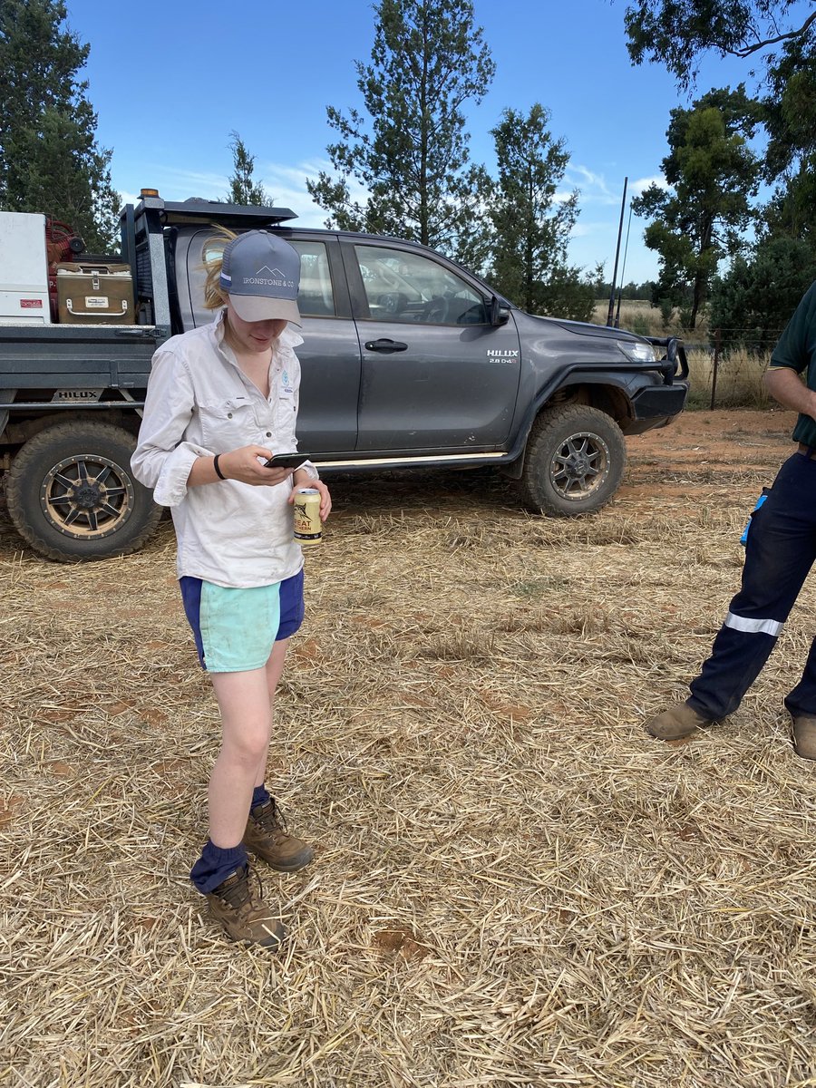 craig_ester's tweet photo. 1st Xmas eve when you can go to the pub during a big harvesting. Dad doesn’t fire up the bagger (early knockoff) Happy days. Neck minute Dad asks if I could stay at home tonight due to COVID to keep the harvest team safe.  Response “No problems, I know it’s important” So proud 💪 https://t.co/CiBC8KzbXE