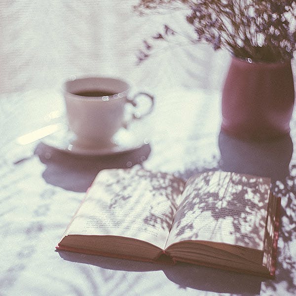A Cup. Your story. I hope this season finds you reading the best story and sharing it with others.
