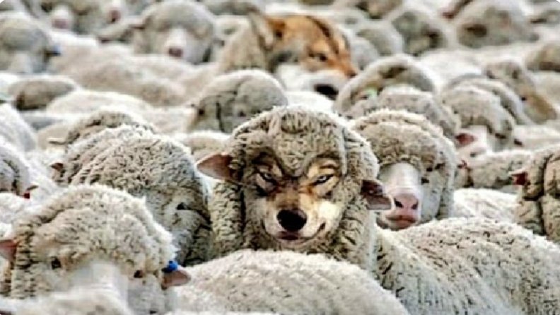 BetitoCote's tweet photo. abrieron sucursal del banco @el_BID en #Colina2 ? o es otro #BID
Mmmm #JoaquinLavin el lobo cuidando la carnicería o hara un #TalcaZo ?
El ojito del #BancoInteramericanoDeDesarrollo https://t.co/PRYWk9Ce9G