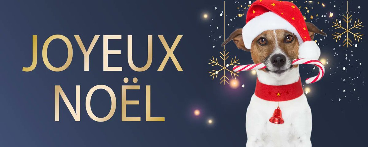 Toute l'équipe de Web et Solutions vous souhaite un Joyeux Noël ! 🎄🎅